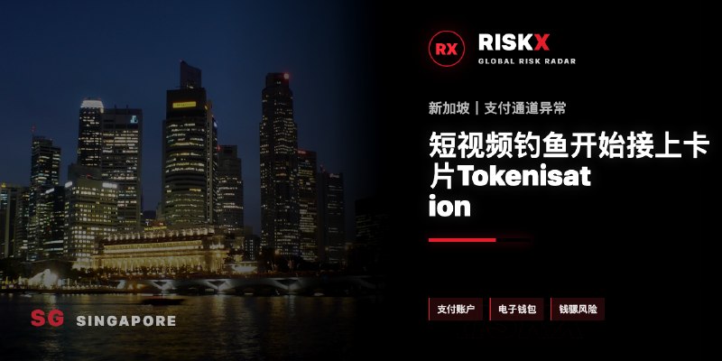 新加坡诈骗曝光现场图片