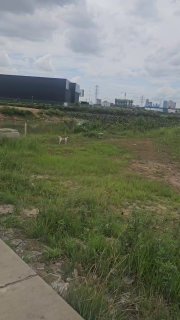 柬埔寨华人事件现场图片