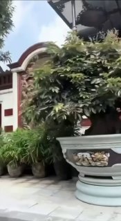 越南诈骗曝光现场图片
