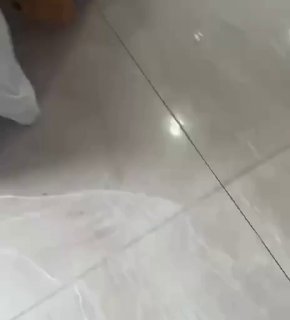 柬埔寨法律案件现场图片