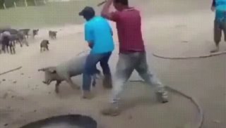 柬埔寨爆料曝光现场图片
