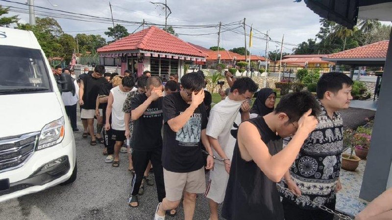 马来西亚诈骗曝光现场图片
