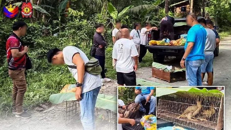 印尼法律案件现场图片