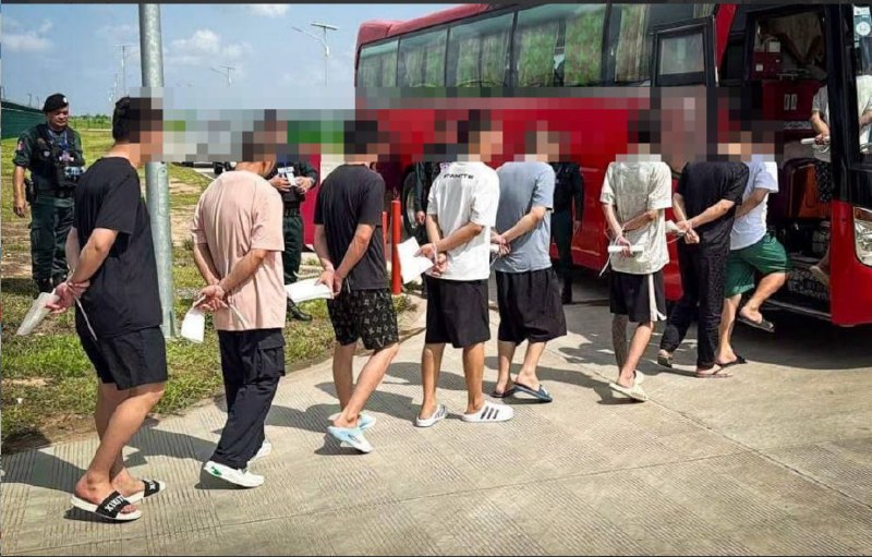 柬埔寨法律案件现场图片