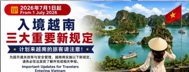 越南法律案件现场图片