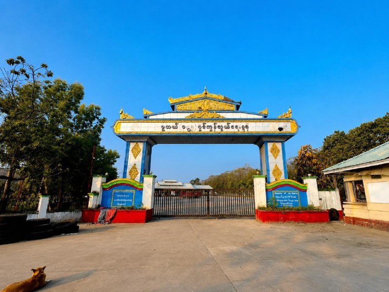 缅甸诈骗曝光现场图片