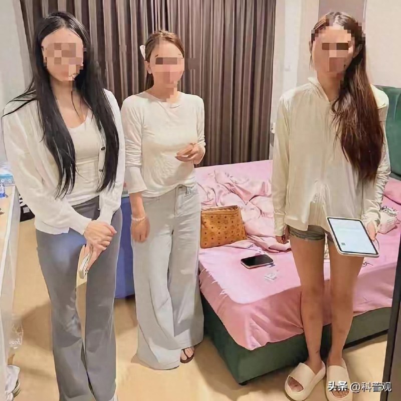 泰国法律案件现场图片