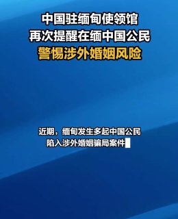 缅甸诈骗曝光现场图片