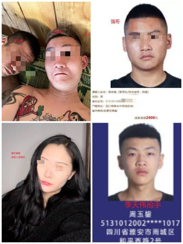 缅甸诈骗曝光现场图片