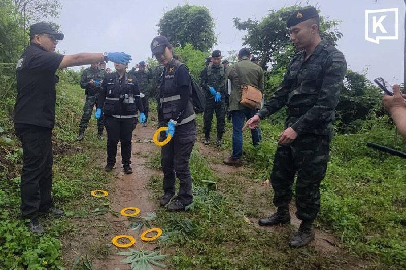 泰国突发新闻现场图片