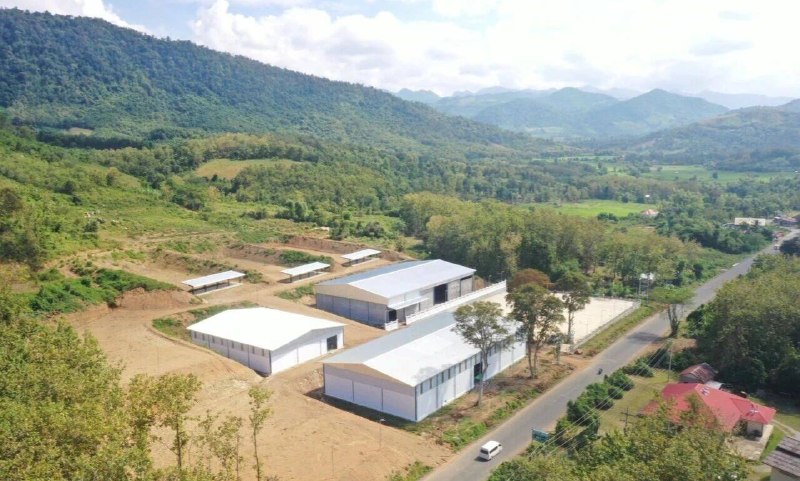 老挝法律案件现场图片