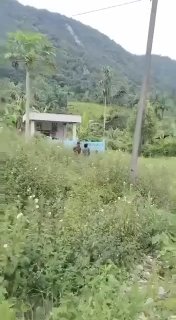 印尼法律案件现场图片