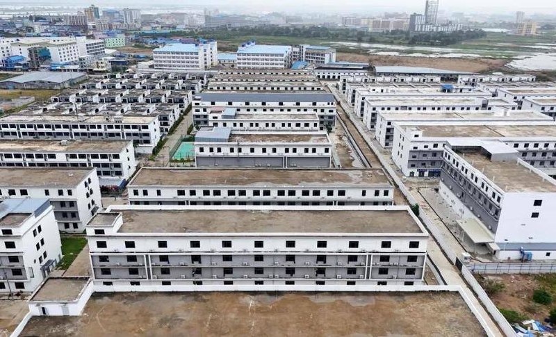 缅甸诈骗曝光现场图片
